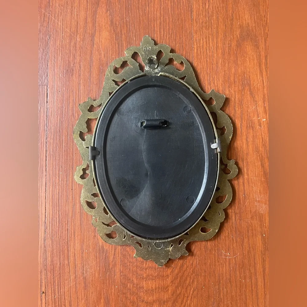 Spiderweb in a Elegant Gold Ornate Wall Frame